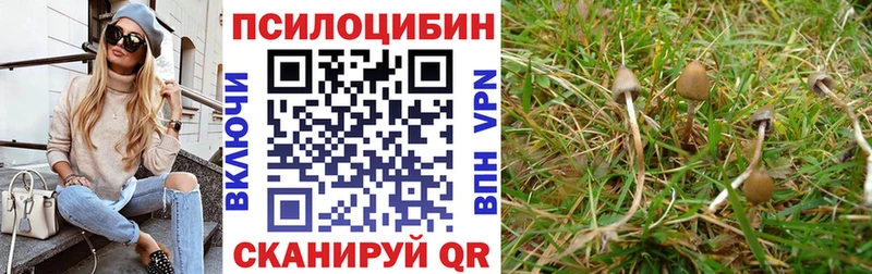 Псилоцибиновые грибы ЛСД  Горячий Ключ 